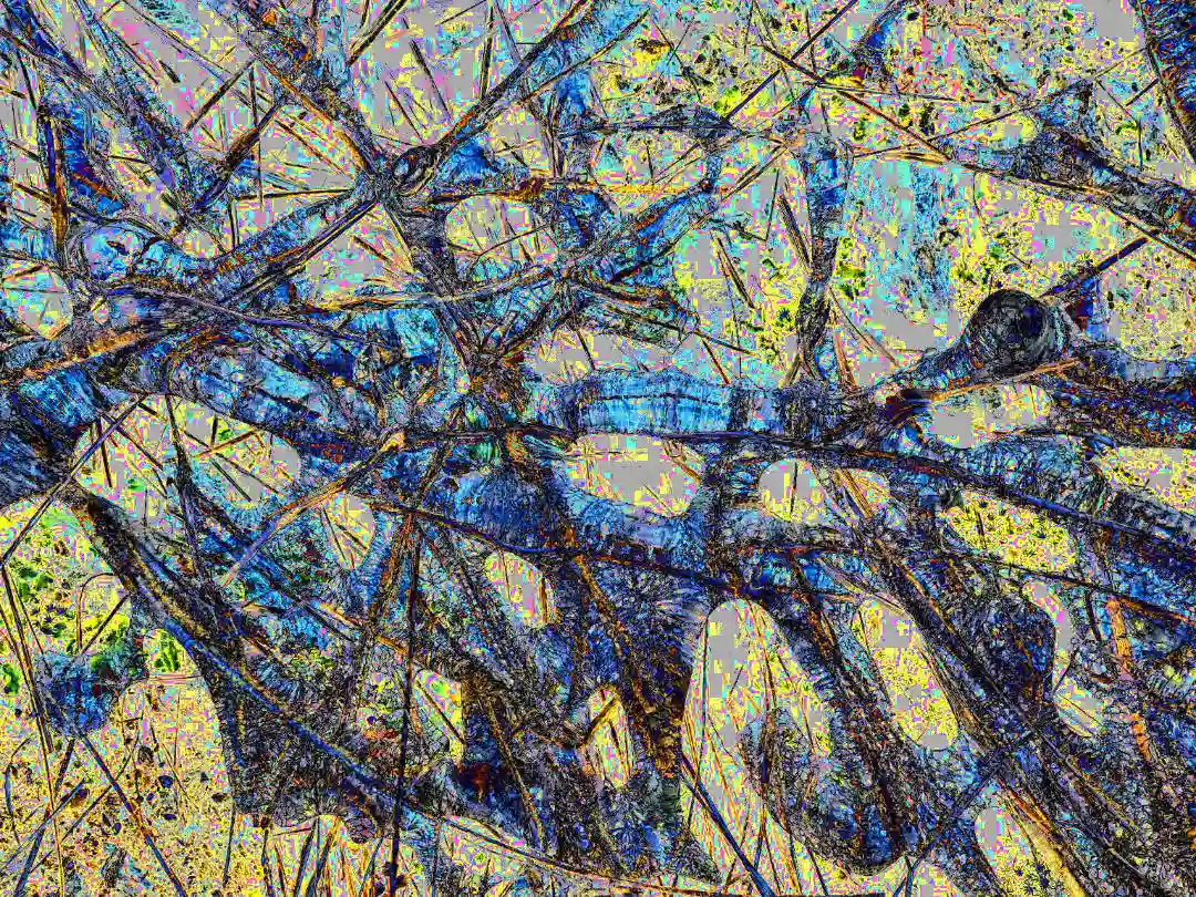 The Thaw at Vétheuil: Monet, Māyā, and the Mechanics of the Arrest